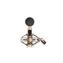 Aurora with shock mount (Large Diaphragm)