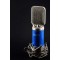 Eikon C14 Large Diaphragm Studio Condenser Microphone