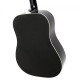Epiphone DR-100 Dreadnought Acoustic Guitar - Ebony EA10EBCH1