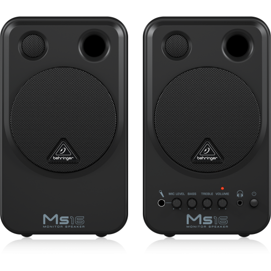 MS16 