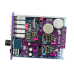 Purple Audio Cans II
