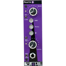 Purple Audio Pants