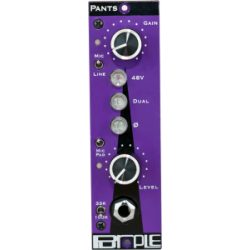 Purple Audio Pants