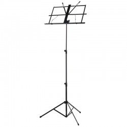RSM300