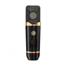 Space 67 Tube Mic with shock mount  (Large Diaphragm)