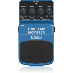 TUBE AMP MODELER TM300