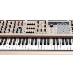 PolyBrute 12