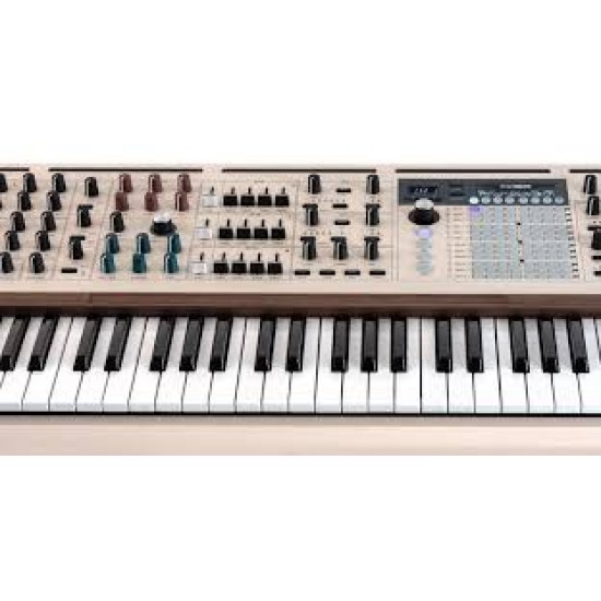 PolyBrute 12