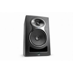LP-6 V2 (Pair)