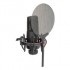 Dual Pop filter
