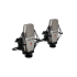 T2
